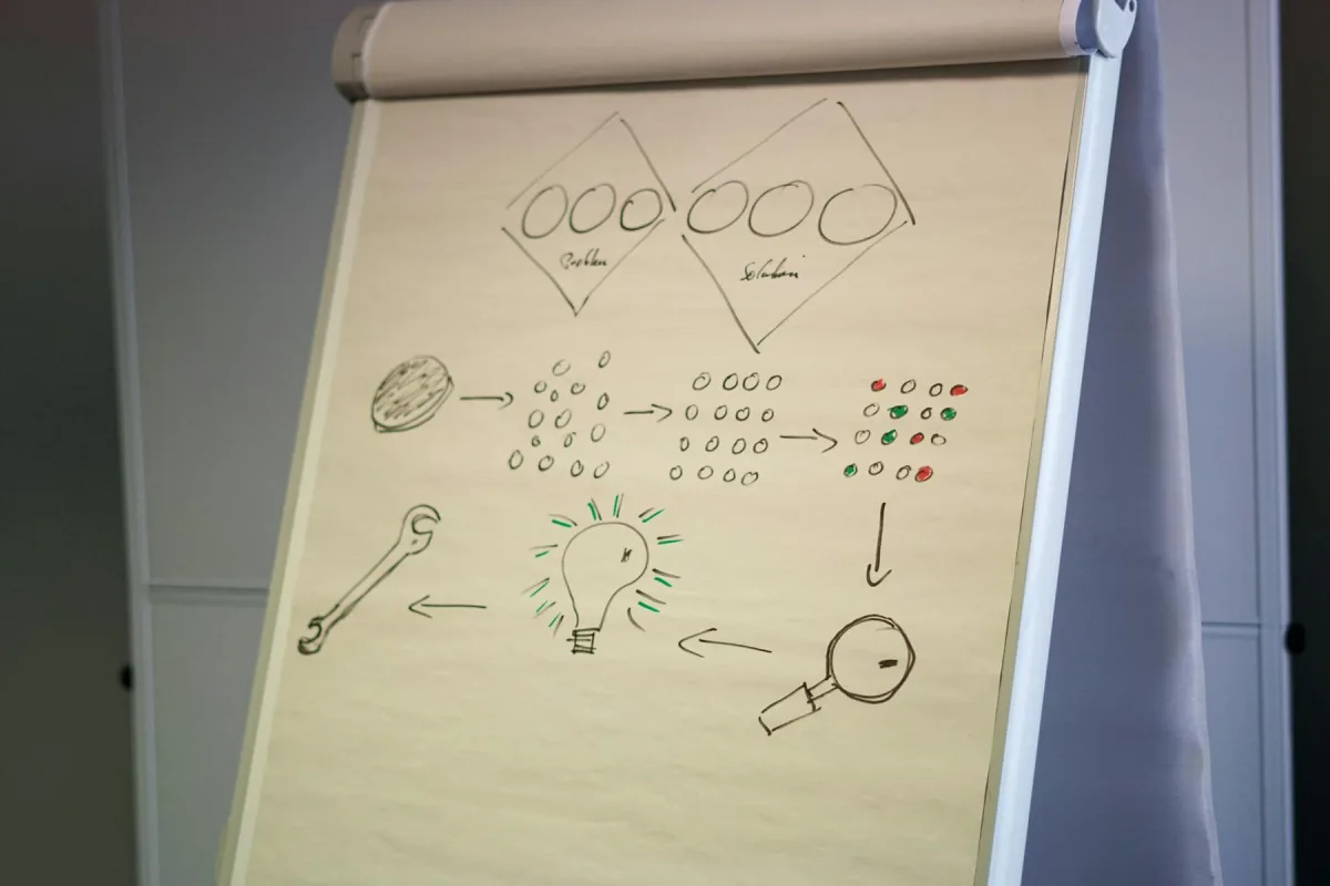 York British Academy visual